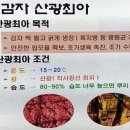 홍영식품 | 텃밭 "2월~3월 봄 감자 심으세요!" 초보자도 성공하는 꿀 팁!