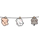백양1리 이미지