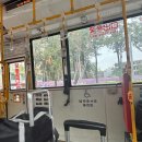 산다1 | [타이중여행] 4일차-1 : 나혼자산다 팜유 맛집 딩샨 솔직 후기