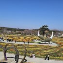 인생학교 봄 이미지