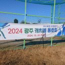 2024년 캐동 포에버 청팀,백팀 이미지