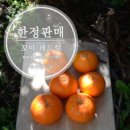 환영2농장 이미지