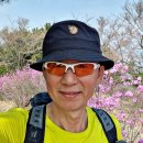 3월 29일 [제 2,115차]_ 진해 장복산(584m)&amp;드림로드길 벚꽃 산행 사진 이미지