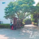 아지트 풀빌라 민박 이미지