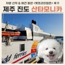 CU 진도 중앙점 | 제주 진도 배편 산타니카호 애견 동반, 차량 선적 후기