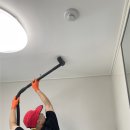 우리동물약품 | 청소 약품 냄새가 너무 싫어요 → 걱정 하세요