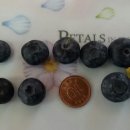 안동와룡농협 이미지