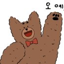 아소르플러스
