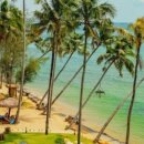 그랜드오션 이미지