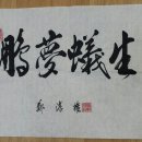 GR(장흥군)-[부유로]-하-9 | 붕몽의생! 정태화 의병장과 정순권