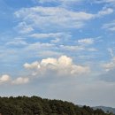 황방산 맨발걷기 이미지