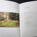 참글문화