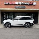 드림카용품점 | [제주 한보자동차용품] 팰리세이드 신차패키지 - 버텍스 900 썬팅 / PPF 3종, 제주시 팰리세이드 버텍스...