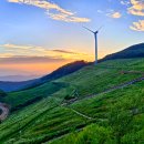 육백마지기 이미지