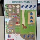 이원로 | 아이랑 뭐하지 고민 끝! 용인 헤븐온어스 딸기체험 동물체험 솔직후기