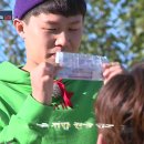 핫 독(HOT DOG) 이미지