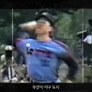 부산이 야구의 도시 '구도부산'으로 불리는 이유 이미지