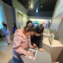 브이태권도장 이미지