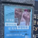 뷰티오로라엘(만천점)