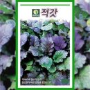씨드
