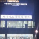 헤이리스 플라워 학원 네이버블로그
