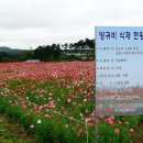 학산3리 이미지