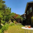 앵두펜션 이미지