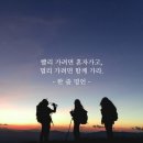 인셀덤(v)