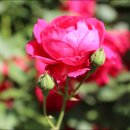 맑음터공원-B 이미지