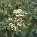 우석초등학교 이미지