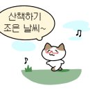 화진포 자전거대여소 네이버블로그