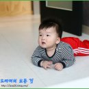 대호토이파크