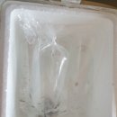 별빛수족관 이미지