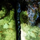 인수화풍(人.水.火.風) | 한국 스님들의 最高 修行 교과서, 普照國師 <修心訣>