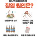 장염 빨리 낫는법 효능 및 증상 좋은 음식 원인 이미지