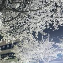 꽃꽃하게