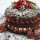 국제 VISA 행정사 사무소 이미지