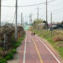 도심속의 평화 이미지