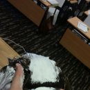 하이스파 이미지