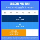 하와이 거북이 스노쿨링 후기 예약 준비물 복장 가격 꿀팁 총정리