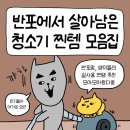 자린고비 - 영등포구 | 자린고비 남편이 선택한 홈리아 내돈내산 청소기 2달 사용후기