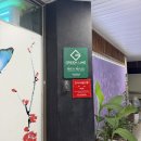 전주 중화산동술집 숙희네포차 후기