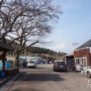 원다풀횟집 뉴스1