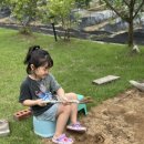 로로하우스 이미지