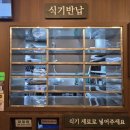 남구-102 | 포항맛집/대도동맛집/포항남구점심맛집/1992덮밥&amp;짜글이 포항점/솔직후기