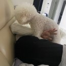 조선부뚜막은평 | [용산/종각/은평] 크리스마스 데이트 코스추천, 연말데이트 코스추천, 서울의 봄, 아이파크몰 맛집...