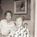 박동규