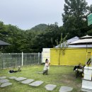 솔트 | 경주 감포 애견동반 펜션 추천, 독채라 더 좋았던 ‘솔트’ 후기