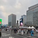 무심천유통 | 카본 러닝화(카본화)인기 계급도 BEST(2025~2026 시즌)