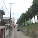 봉명중학교 Daum카페